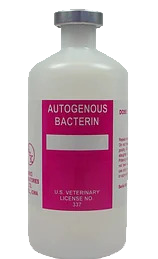 Autogenous Vaccine bottle with a pinkish-color label 'Autogenous Bacterin'.