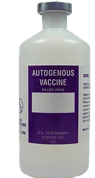 Autogenous Vaccine bottle with a dark purplecolor label 'Autogenous Vaccine'.
