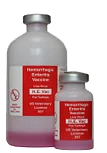 A tall plastic bottle next to a smaller plastic bottle with red labels for HE Vac poultry vaccine.